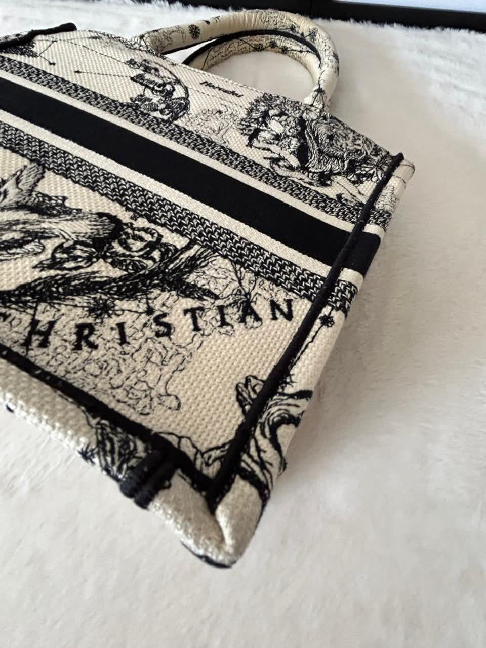 ▪️CD Small Book Tote Bag ▪️