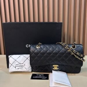 ▪️C H A N E L Medium Classic Double Flap Bag ▪️
