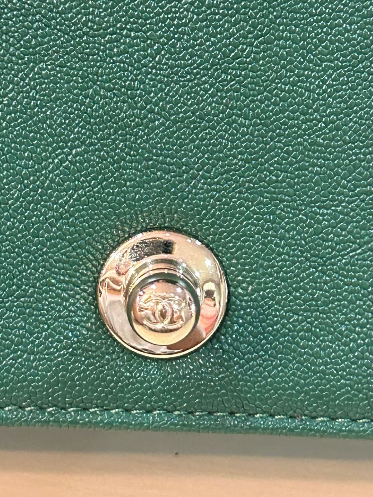 FB_IMG_1762990674516