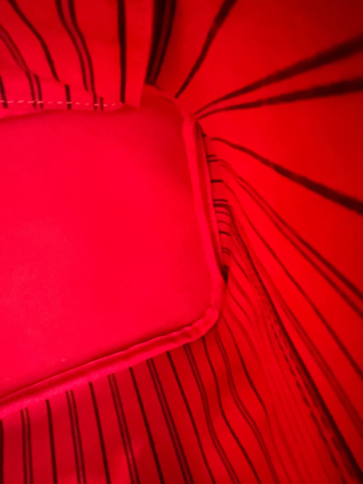 FB_IMG_1763165510412