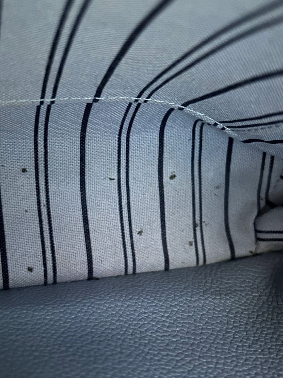 FB_IMG_1763166327461