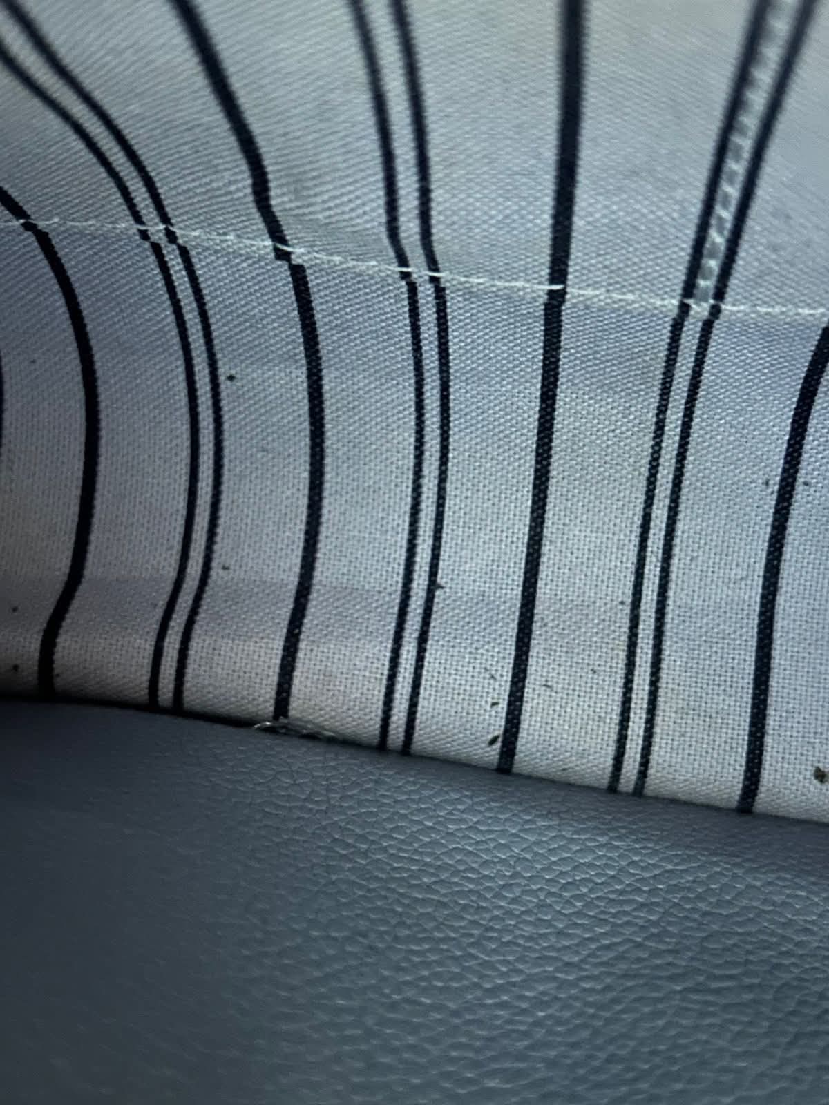 FB_IMG_1763166329533